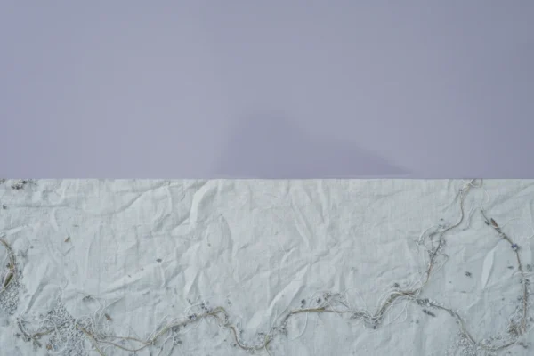 Mindful Waxing: 5 Prep Myths to Ditch in 2026